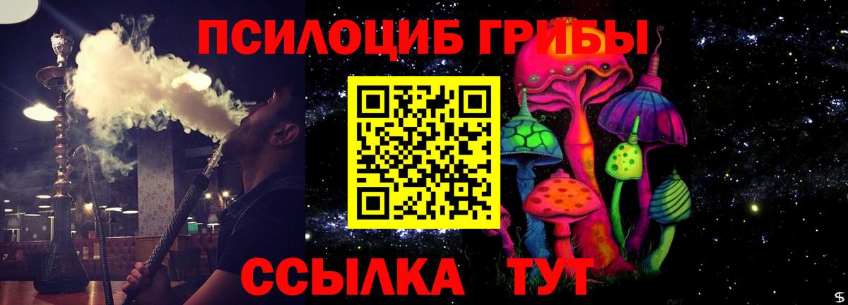 Псилоцибиновые грибы мицелий  Псилоцибиновые грибы Psilocybe  Вход с VPN  Красноярск 
